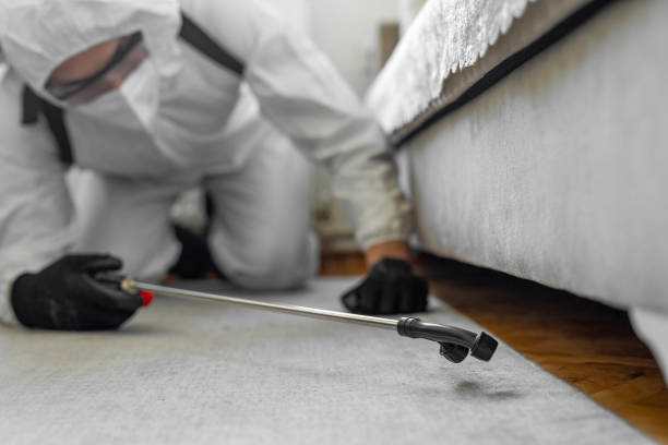 Professional Termite Control technician working in Frisco, TX