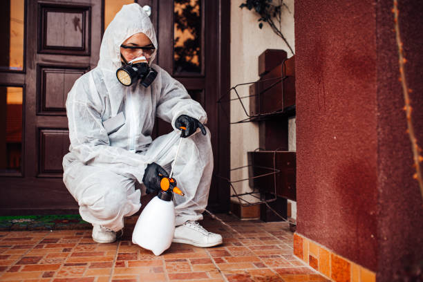 Reliable Termite Control contractor in Frisco, TX by Nex Pest Control